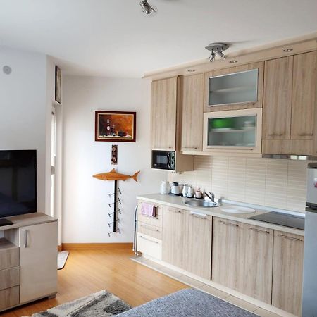 Apartman Lux Sneznik Vrnjačka Banja Zewnętrze zdjęcie