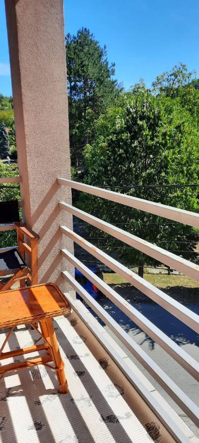 Apartman Lux Sneznik Vrnjačka Banja Zewnętrze zdjęcie