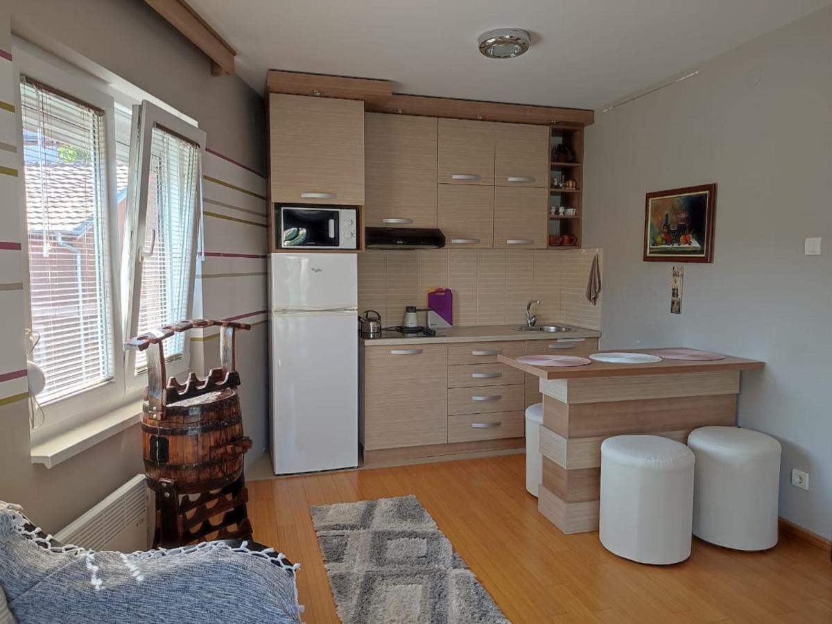 Apartman Lux Sneznik Vrnjačka Banja Zewnętrze zdjęcie